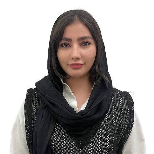 خ حسین آبادی